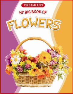 My big book of flowers